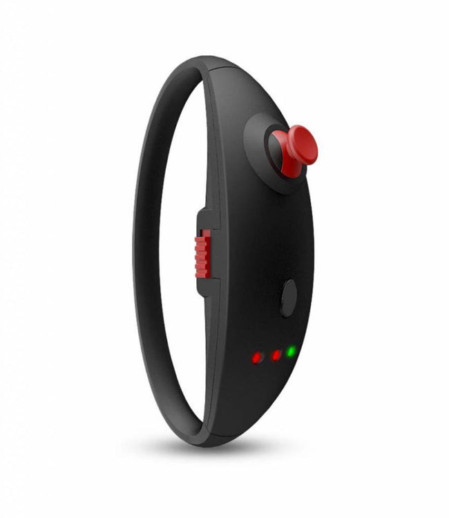 Koowheel D3 Mini